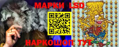 шишки Тара