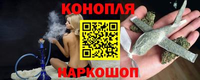 шишки Тара