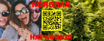 шишки Тара