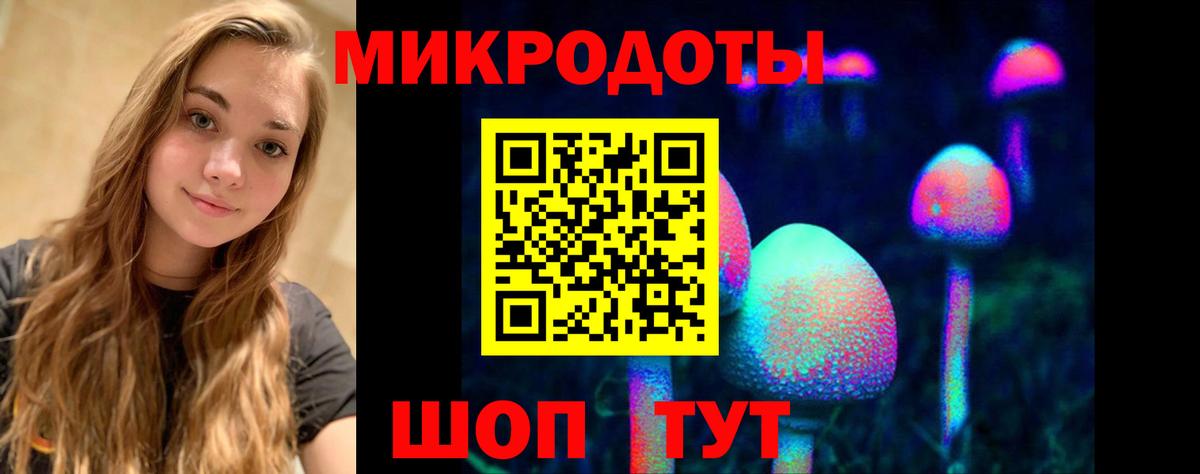 Псилоцибиновые грибы ЛСД  даркнет сайт  Новотроицк  Вход с VPN 